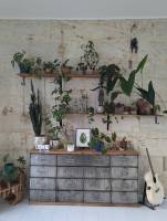 Laurene RIBIERE - KOYA CONCEPTION